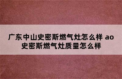 广东中山史密斯燃气灶怎么样 ao史密斯燃气灶质量怎么样